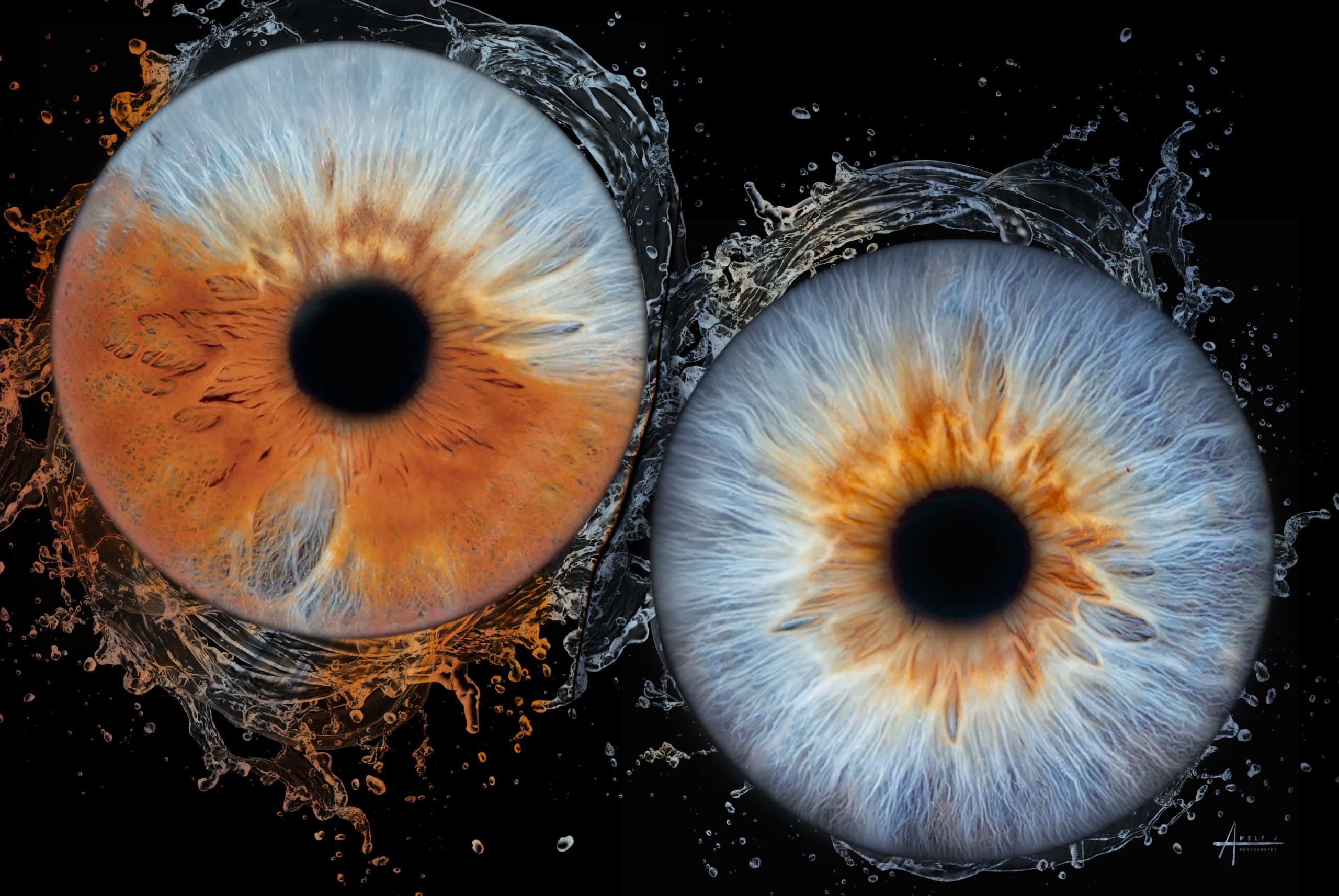 yeux vairons amely j photography