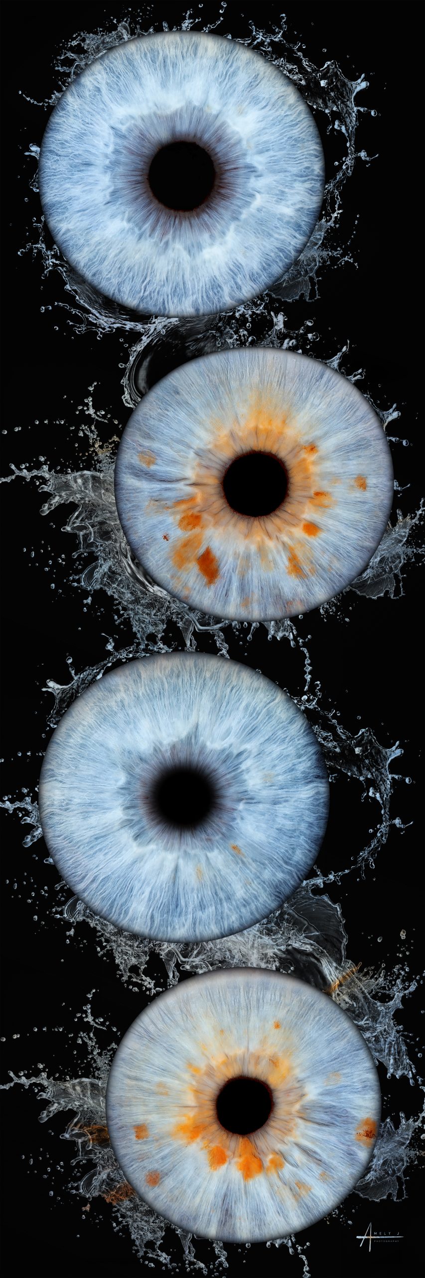 Tableau photo d'iris 30 x 90 cm, bloc bord noir et or, réalisé par Amely J Photography